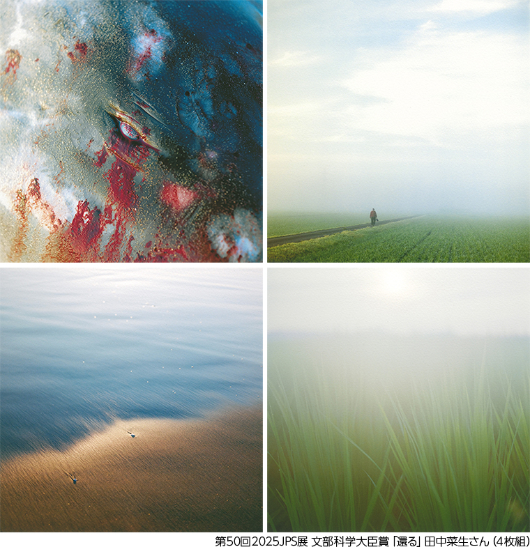 第50回2025JPS展 文部科学大臣賞「還る」田中菜生さん（4枚組）