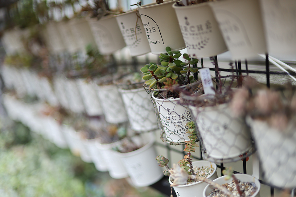 RF45mm F1.2 STM レビュー