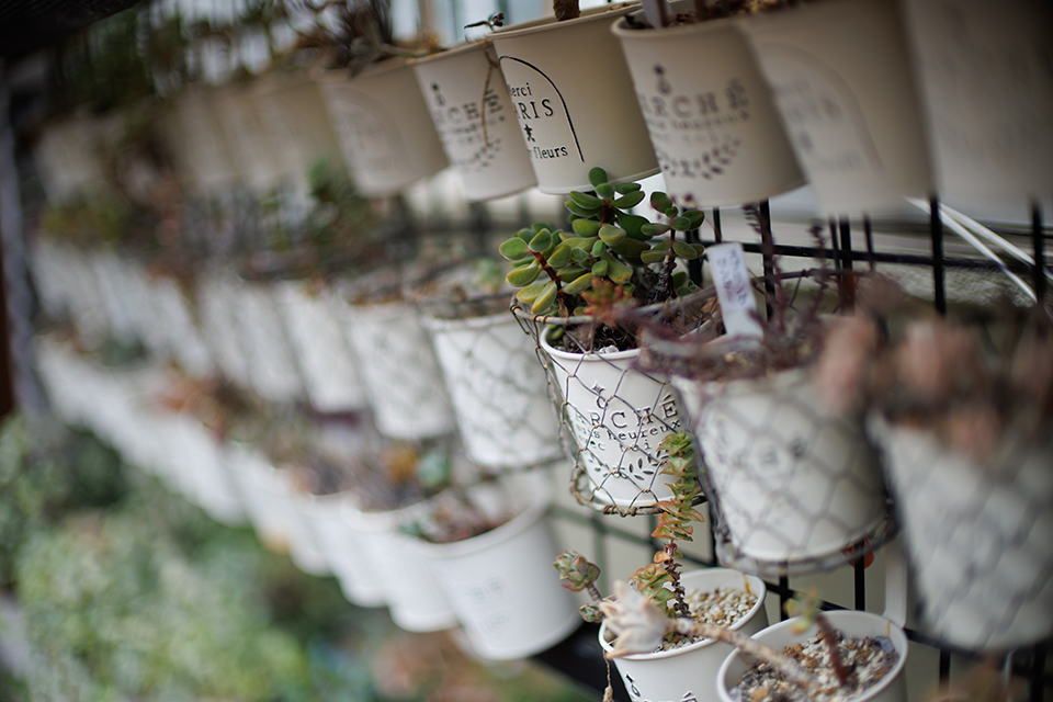 RF45mm F1.2 STM レビュー