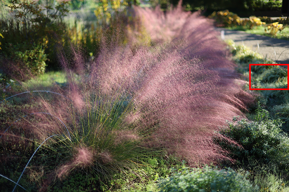 RF45mm F1.2 STM レビュー