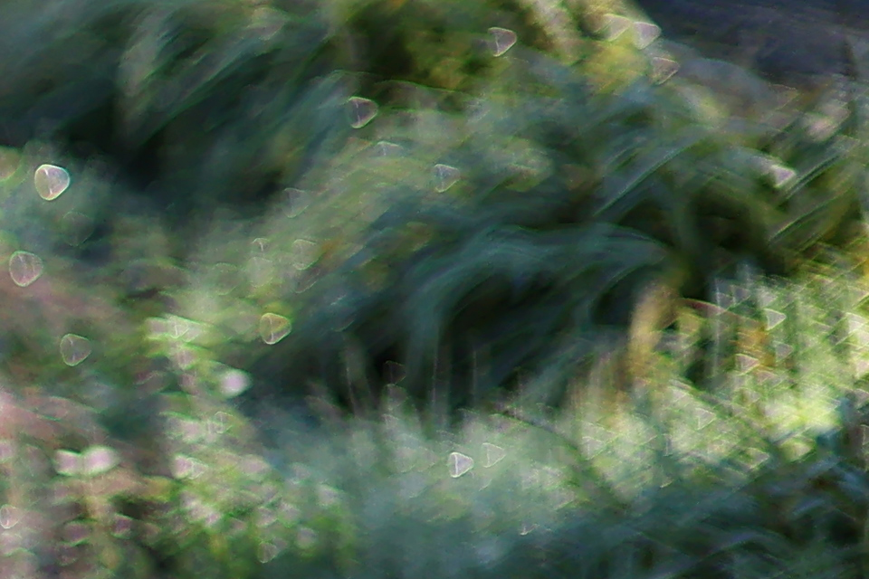 RF45mm F1.2 STM レビュー