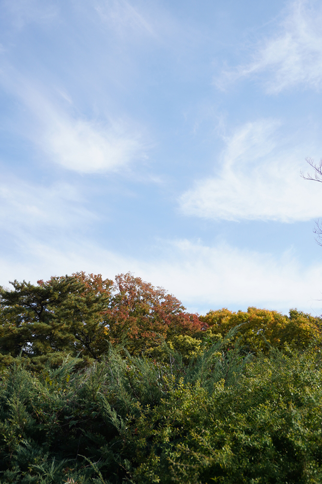 大島璃音の写真日記 vol.1