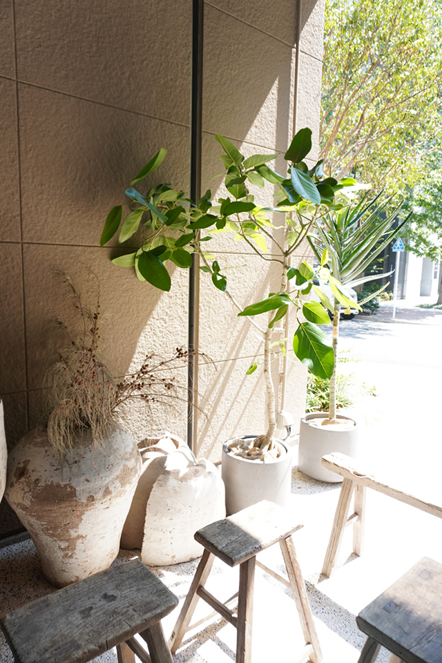 大島璃音の写真日記 vol.1