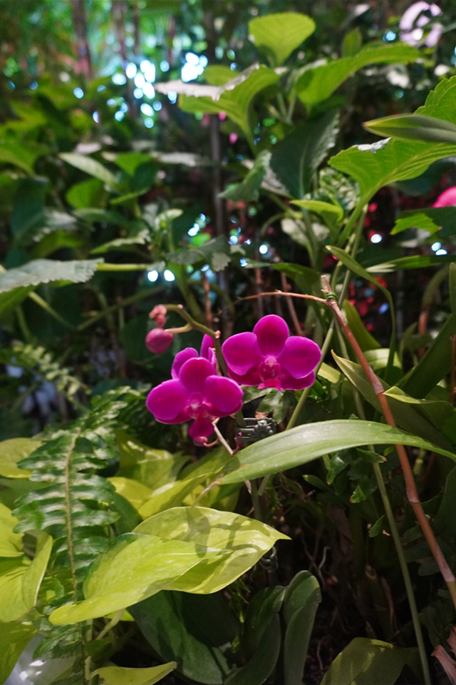 大島璃音の写真日記 vol.1