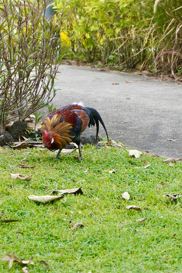 大島璃音の写真日記 vol.1