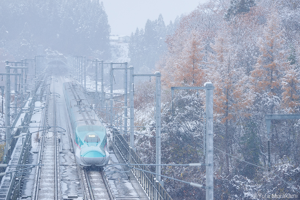 キヤノン EOS R6 Mark III × 村上悠太