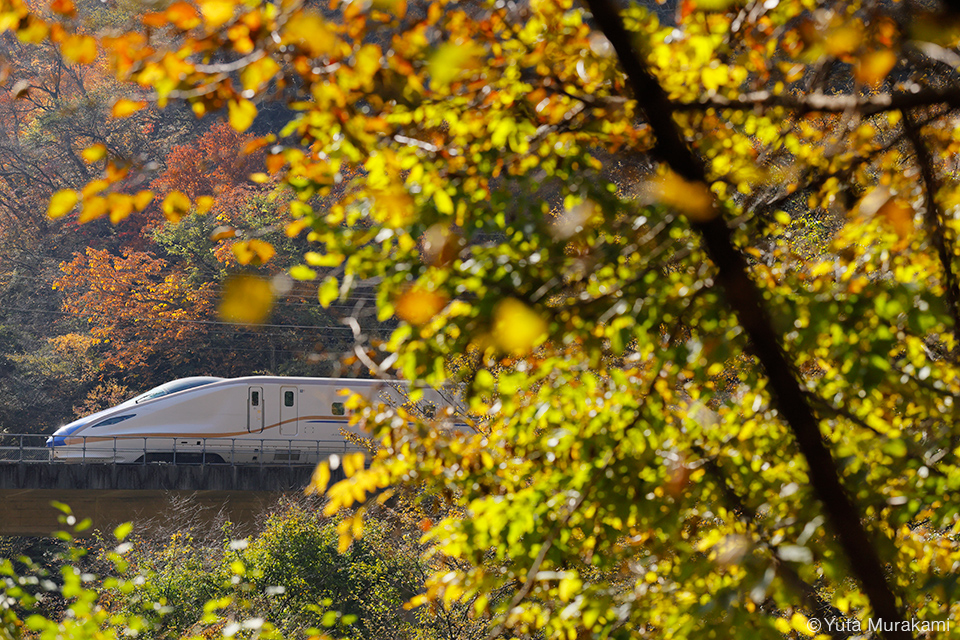 キヤノン EOS R6 Mark III × 村上悠太