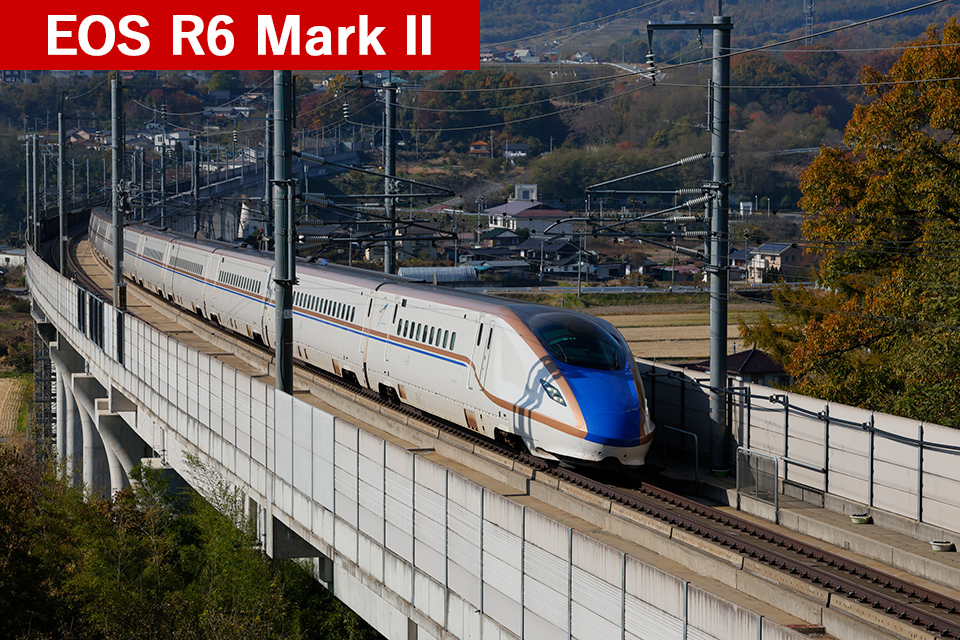 キヤノン EOS R6 Mark III × 村上悠太