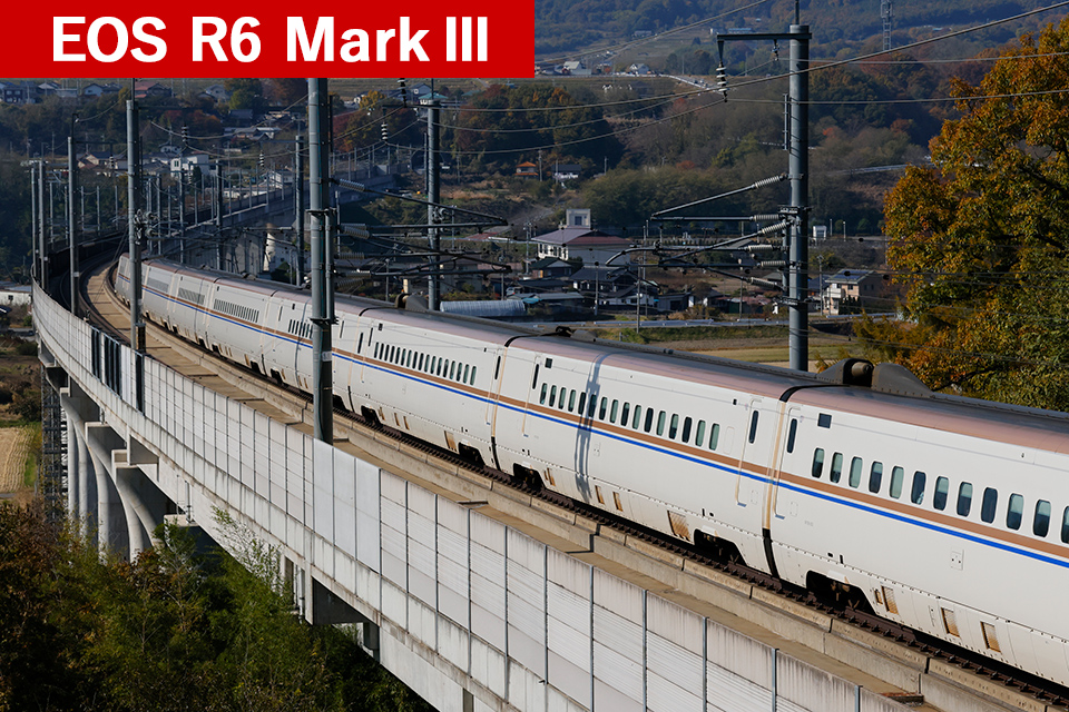 キヤノン EOS R6 Mark III × 村上悠太