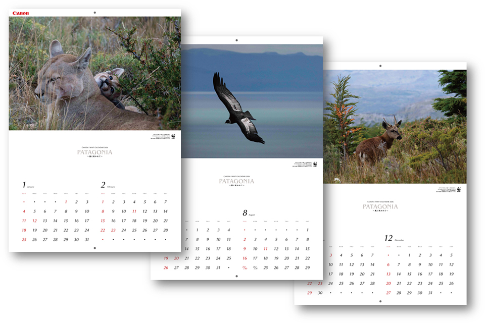 キヤノン/WWFカレンダー2026 岩合光昭写真展「PATAGONIA ―風に吹かれて―」