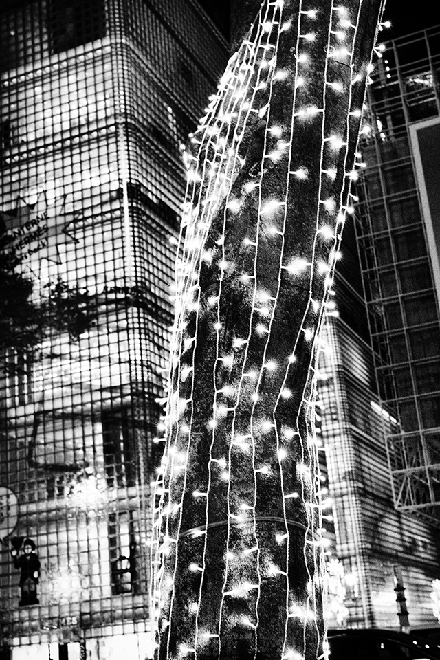 大門美奈×中藤毅彦 ライカM EV1 スペシャル対談