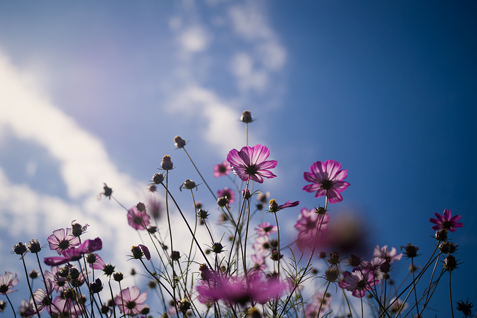 大門美奈×中藤毅彦 ライカM EV1 スペシャル対談