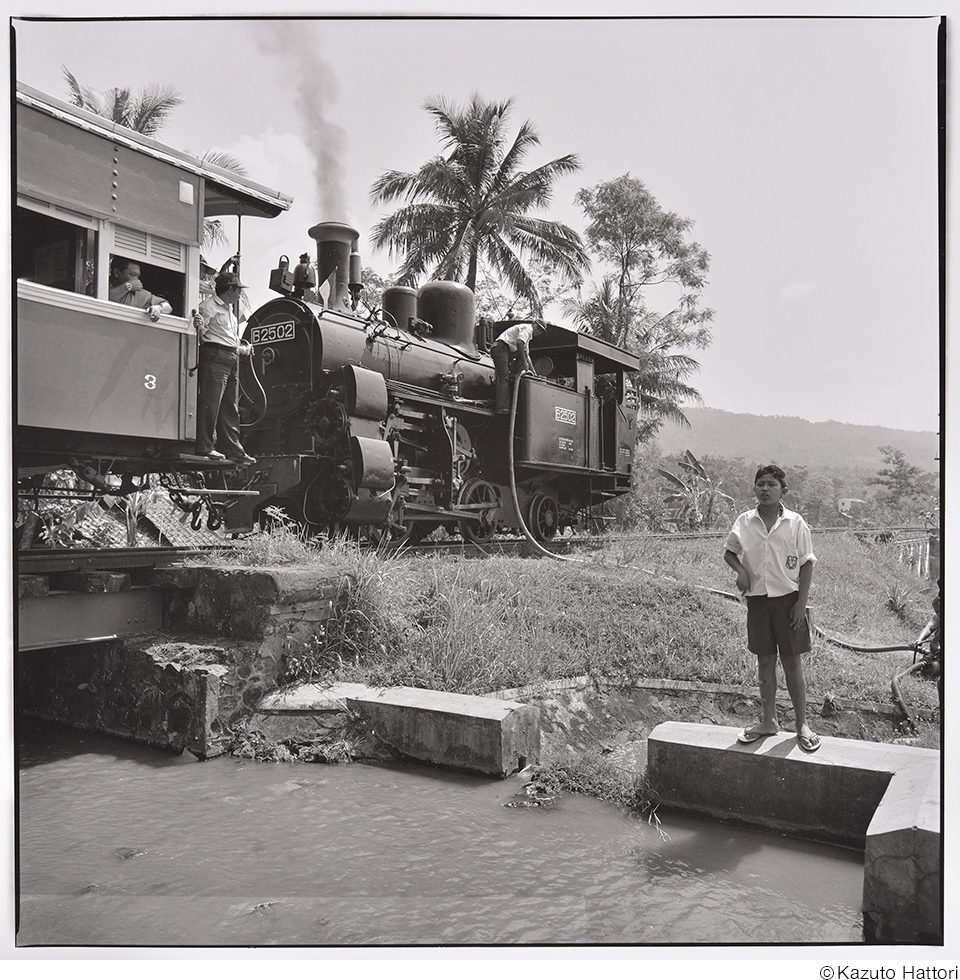 日本大学芸術学部写真学科 教員作品展「SKY VIII」