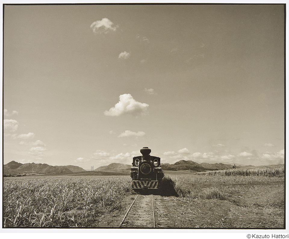 日本大学芸術学部写真学科 教員作品展「SKY VIII」