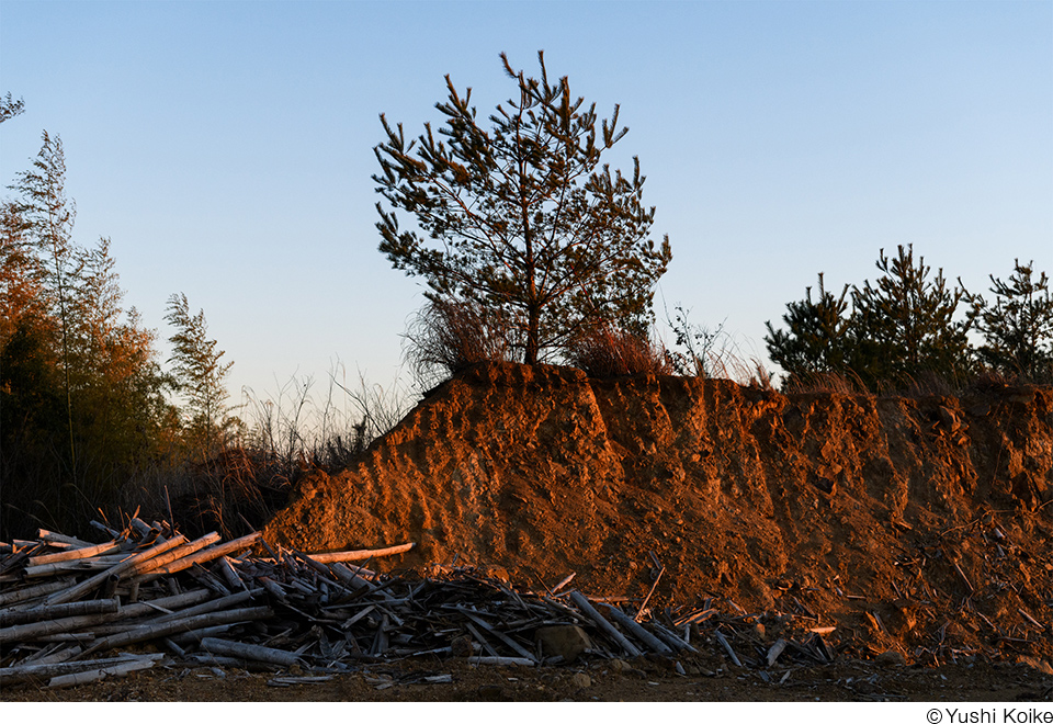 日本大学芸術学部写真学科 教員作品展「SKY VIII」