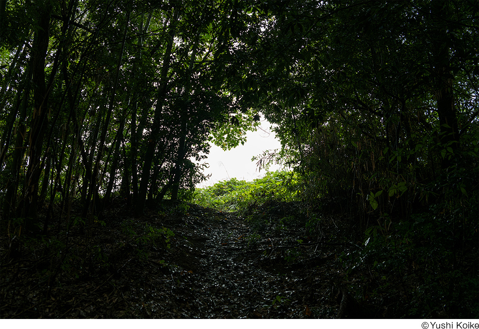 日本大学芸術学部写真学科 教員作品展「SKY VIII」