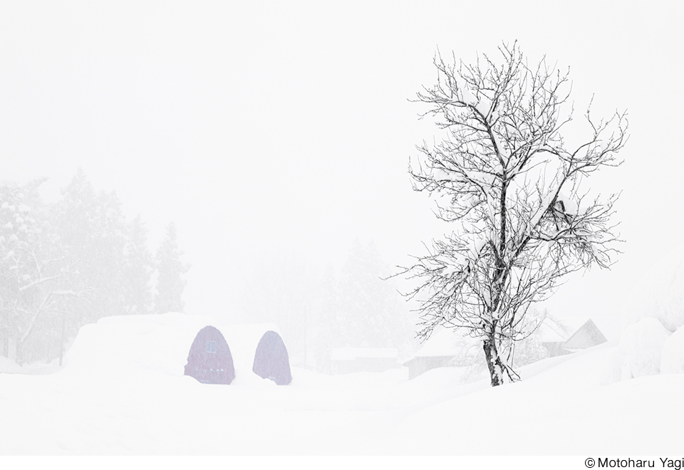 日本大学芸術学部写真学科 教員作品展「SKY VIII」