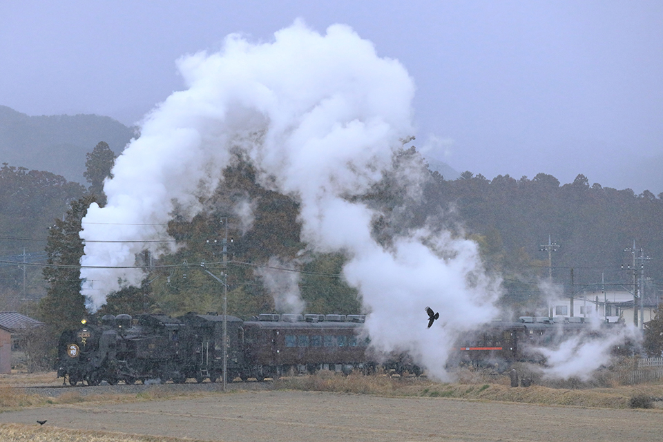 鉄道写真コンテスト「TEKKEN！」最終回！ 秋・冬の情景を切り取った