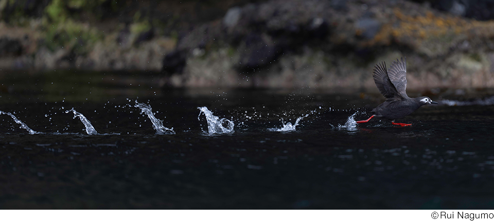 南雲るいインタビュー