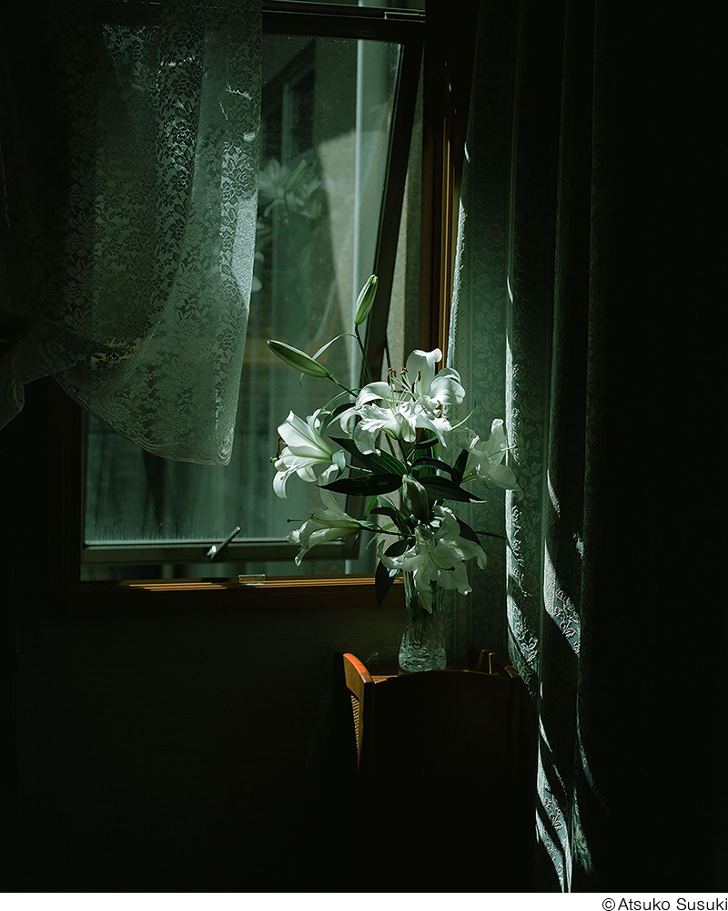 鈴木敦子個展「Primitive Dialogue」