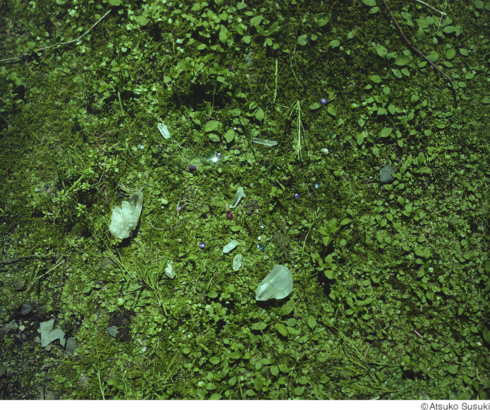 鈴木敦子個展「Primitive Dialogue」