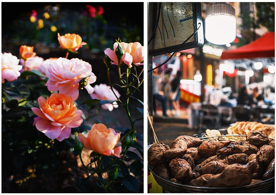 実売1万円を切った！ 軽くて小さい、開放F1.8を誇る単焦点レンズ「SG