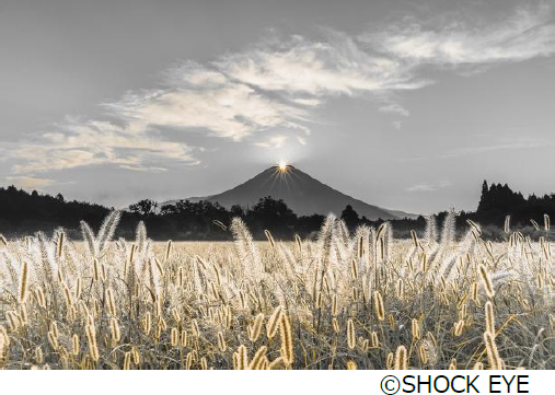 SHOCK EYE写真展「和景讃歌」