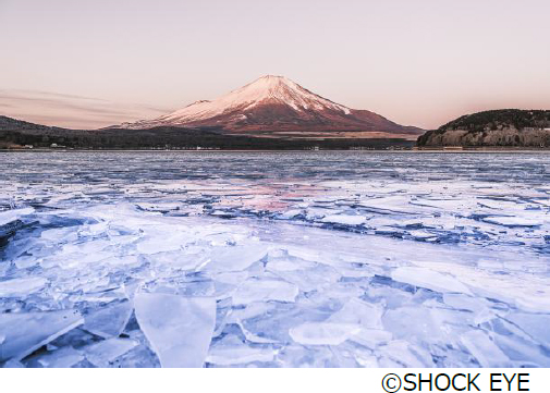 SHOCK EYE写真展「和景讃歌」