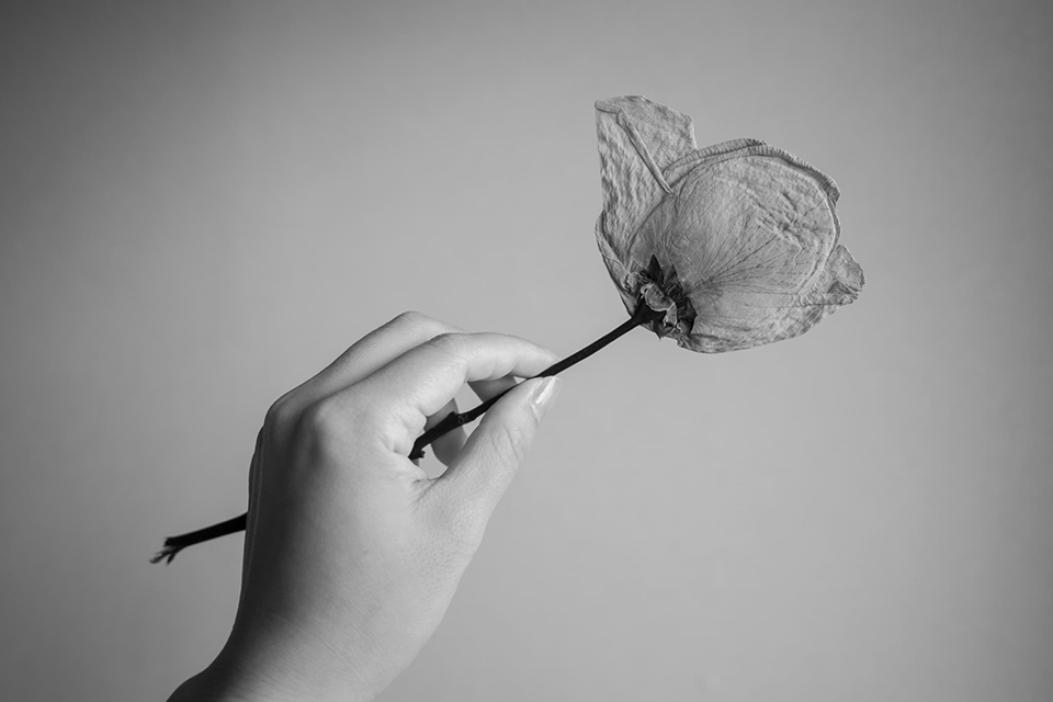 あざみ野フォト・アニュアル2026