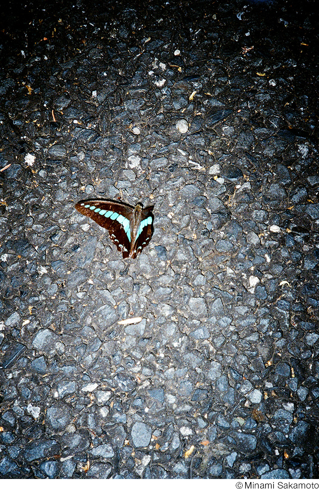 雑誌『写真』vol.8刊行記念 坂本陽個展「Telescope」