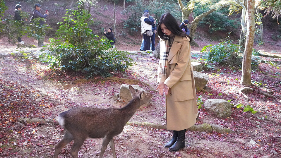 大島璃音の写真日記 vol.2