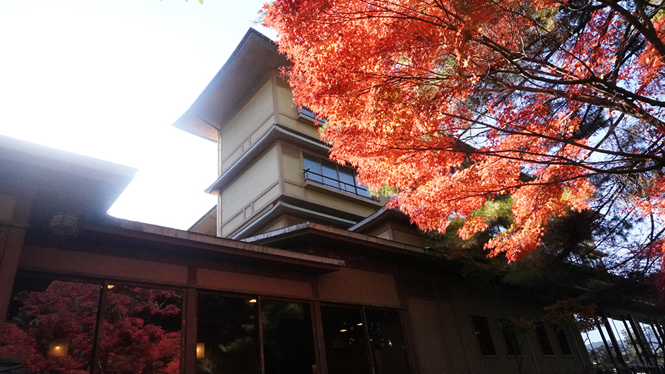 大島璃音の写真日記 vol.2