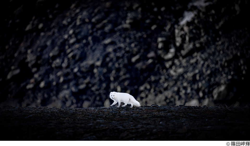 第19回JPSフォトフォーラム「地球の声を聴く ─ 動物写真にできること」