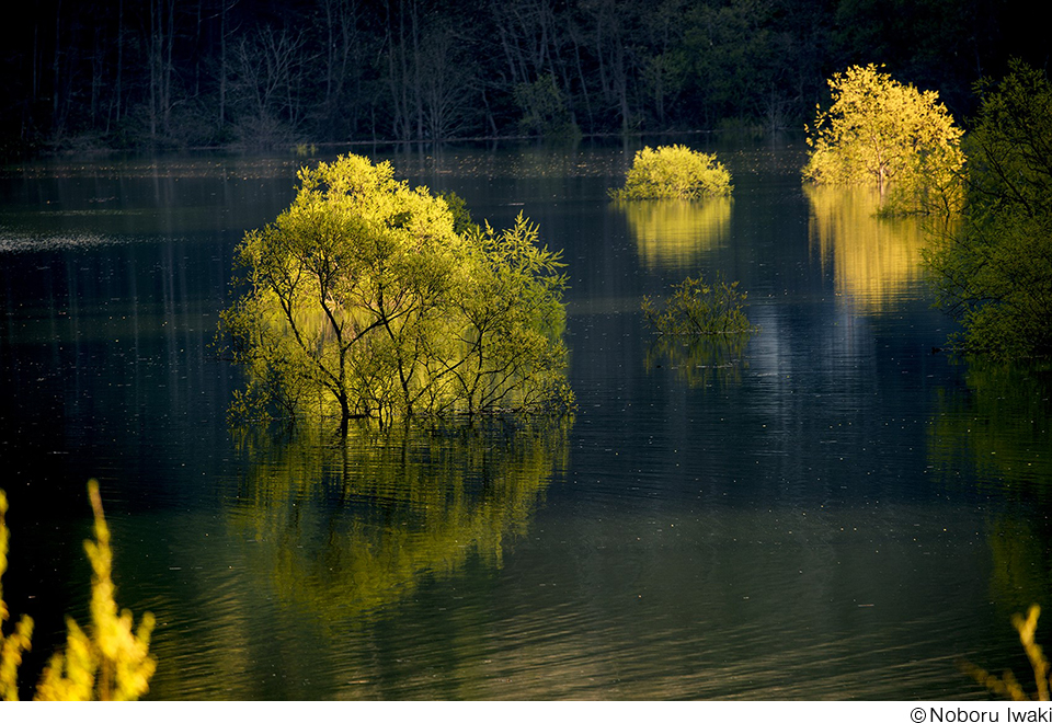 岩木登写真展「南八甲田」