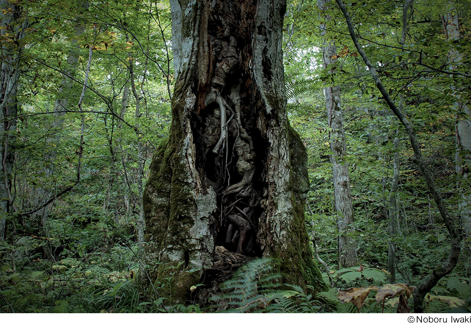 岩木登写真展「南八甲田」