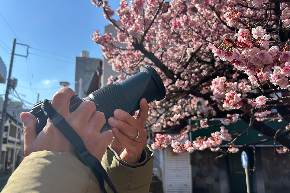 NIKKOR Z 24-105mm f/4-7.1 実写レビュー