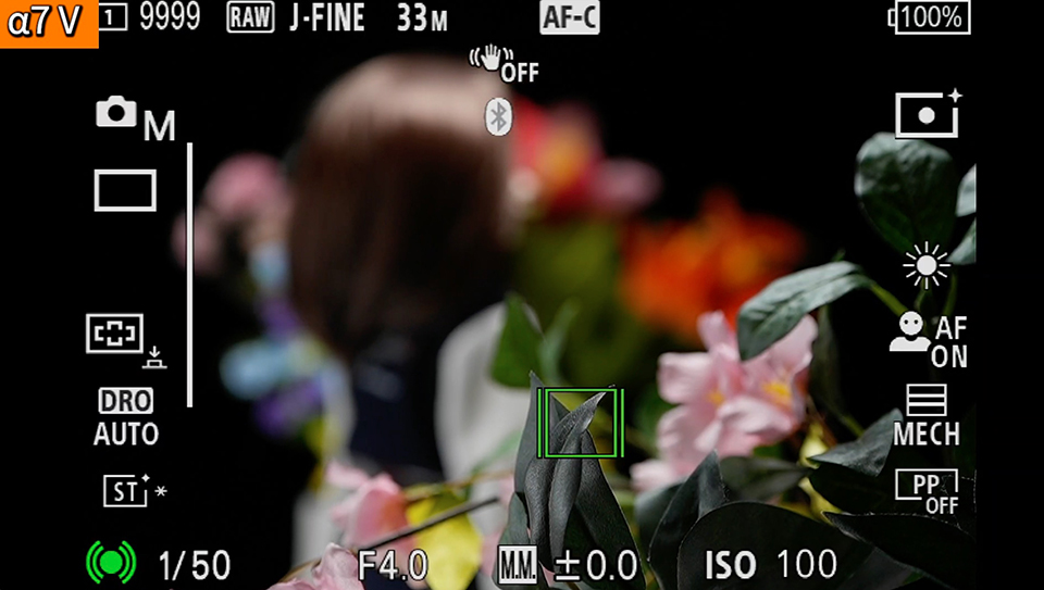 α7 V : フォーカスエリア [ワイド]