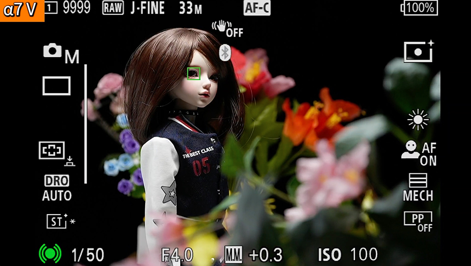α7 V : フォーカスエリア [ワイド]