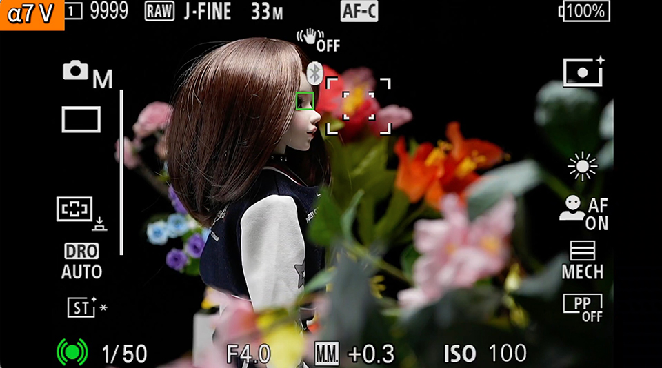 α7 V : フォーカスエリア [拡張スポット]