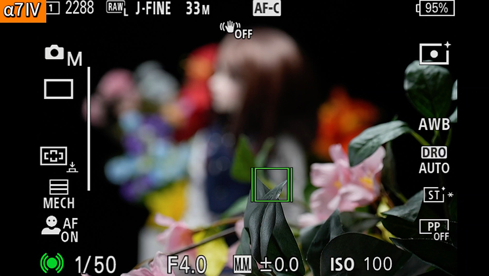 α7 IV : フォーカスエリア [ワイド]