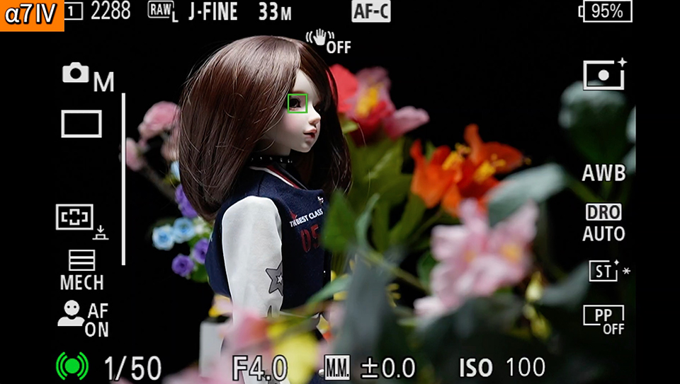 α7 IV : フォーカスエリア [ワイド]