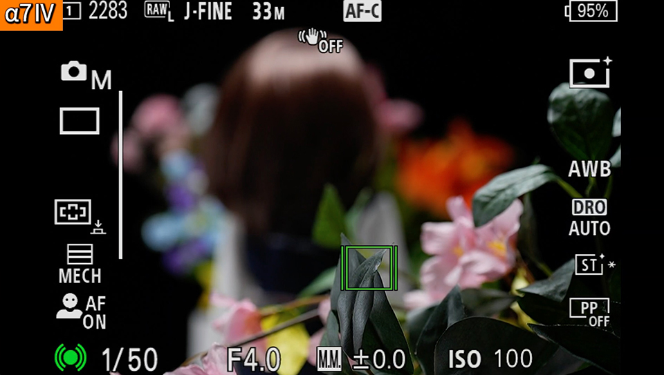 α7 IV : フォーカスエリア [ワイド]