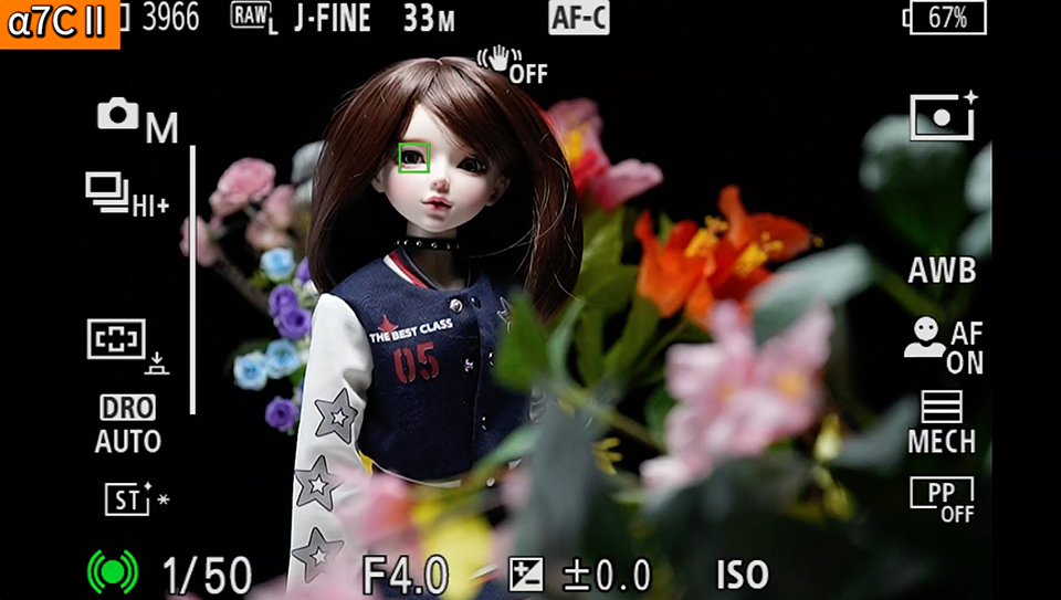 α7C II : フォーカスエリア [ワイド]