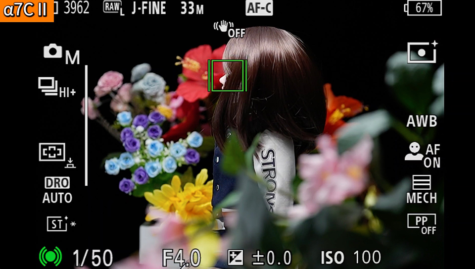 α7C II : フォーカスエリア [ワイド]