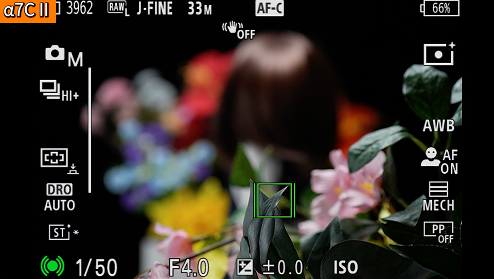 α7C II : フォーカスエリア [ワイド]