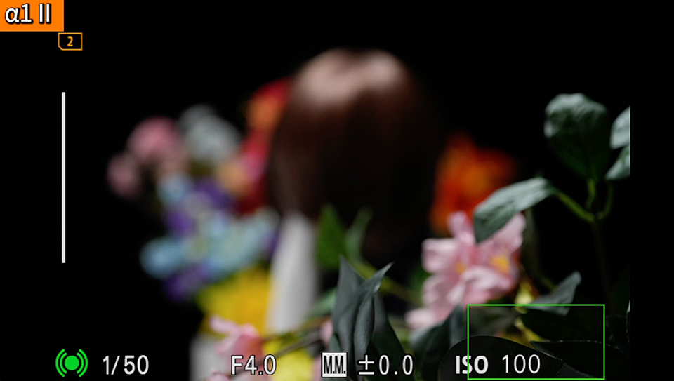 α1 II : フォーカスエリア [ワイド]