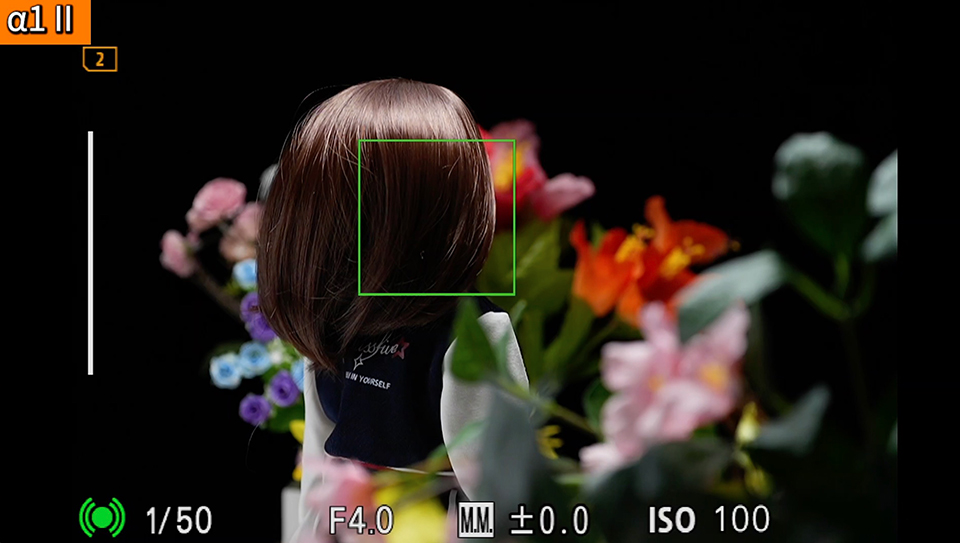 α1 II : フォーカスエリア [ワイド]