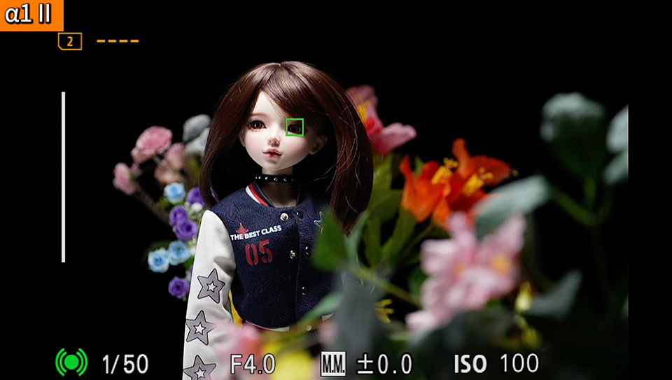 α1 II : フォーカスエリア [ワイド]