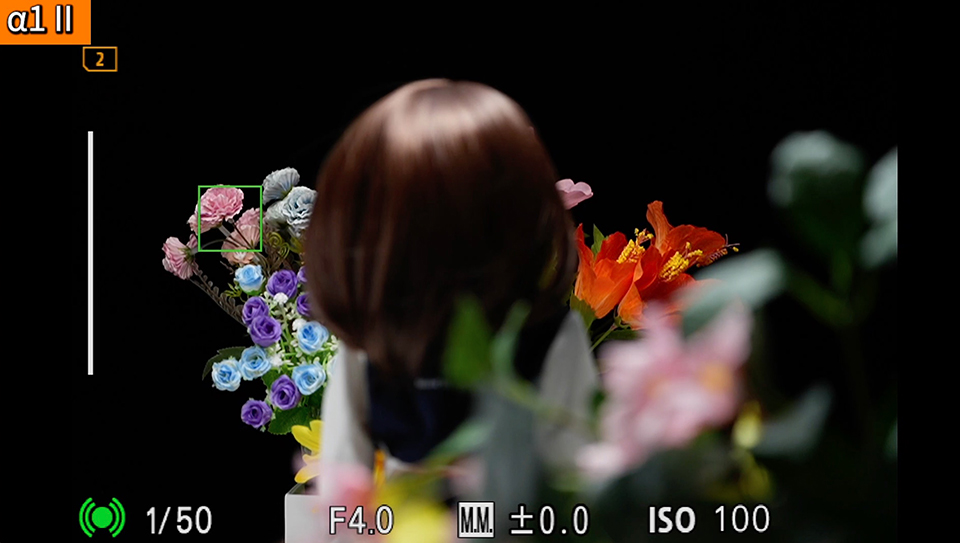 α1 II : フォーカスエリア [ワイド]