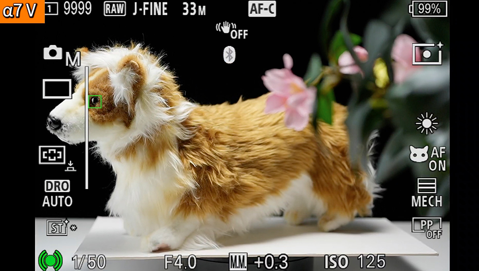 α7 V : フォーカスエリア [ワイド]